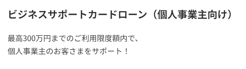 ビジネスサポートローンのキャプチャ画像